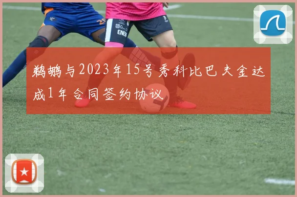 鹈鹕与2023年15号秀科比巴夫金达成1年合同签约协议