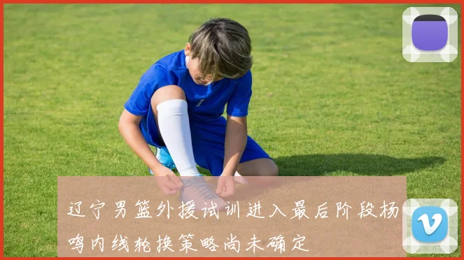 辽宁男篮外援试训进入最后阶段杨鸣内线轮换策略尚未确定